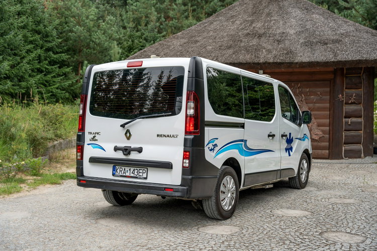 Renault Trafic Les Dauphins / Karetka / Pojazd Sanitarny / Nowy Silnik / Po Serwisie zdjęcie 13
