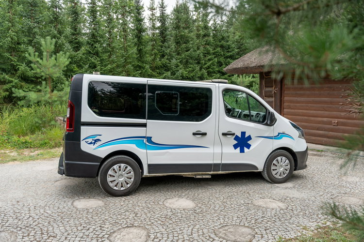 Renault Trafic Les Dauphins / Karetka / Pojazd Sanitarny / Nowy Silnik / Po Serwisie zdjęcie 16