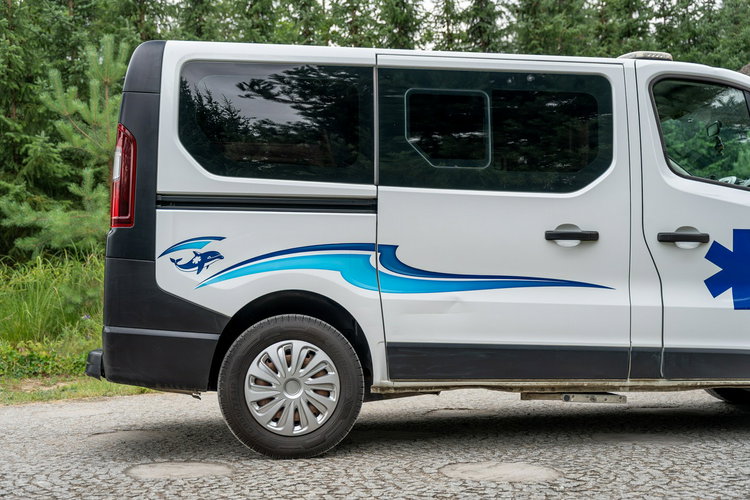 Renault Trafic Les Dauphins / Karetka / Pojazd Sanitarny / Nowy Silnik / Po Serwisie zdjęcie 17