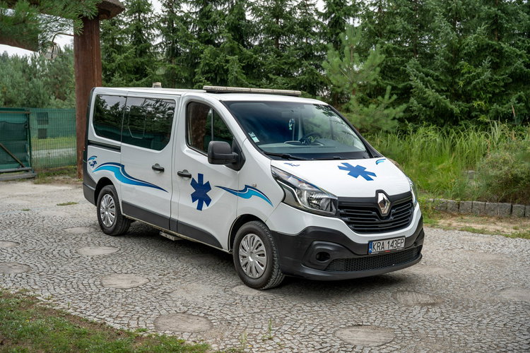 Renault Trafic Les Dauphins / Karetka / Pojazd Sanitarny / Nowy Silnik / Po Serwisie zdjęcie 19