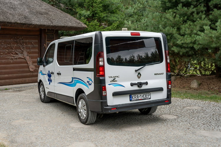 Renault Trafic Les Dauphins / Karetka / Pojazd Sanitarny / Nowy Silnik / Po Serwisie zdjęcie 2