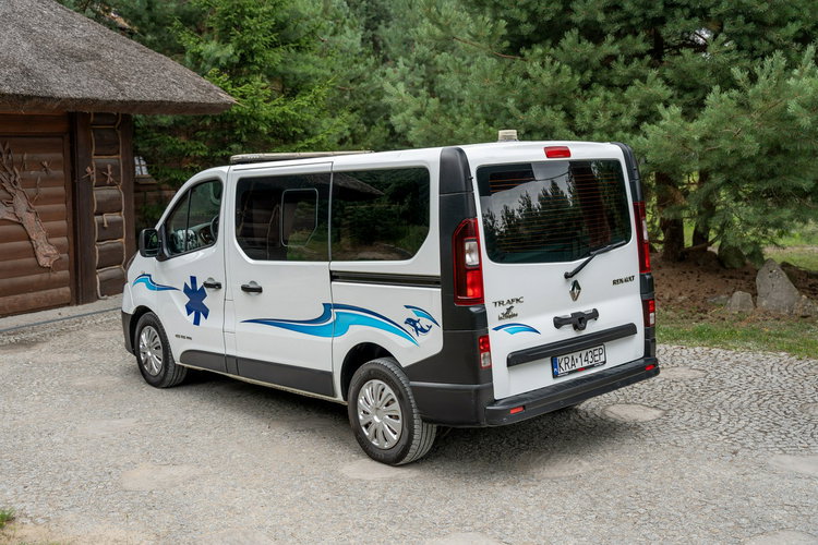 Renault Trafic Les Dauphins / Karetka / Pojazd Sanitarny / Nowy Silnik / Po Serwisie zdjęcie 20