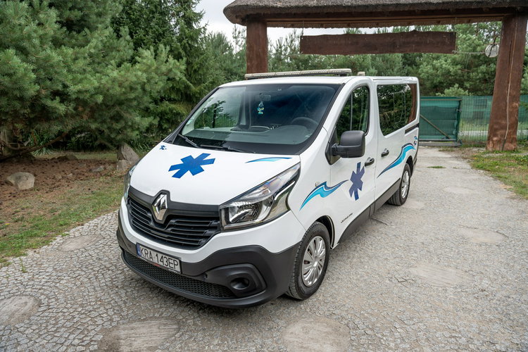 Renault Trafic Les Dauphins / Karetka / Pojazd Sanitarny / Nowy Silnik / Po Serwisie zdjęcie 21