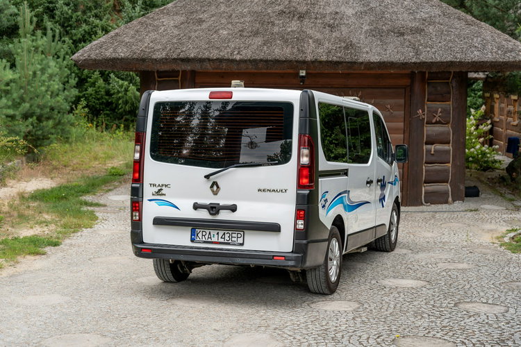 Renault Trafic Les Dauphins / Karetka / Pojazd Sanitarny / Nowy Silnik / Po Serwisie zdjęcie 22