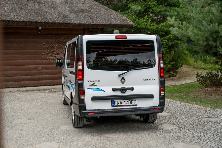 Renault Trafic Les Dauphins / Karetka / Pojazd Sanitarny / Nowy Silnik / Po Serwisie zdjęcie 24