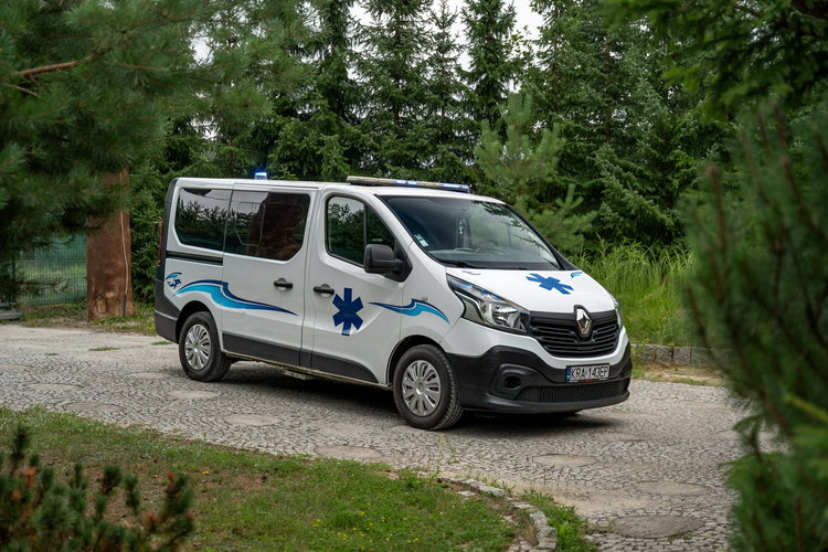 Renault Trafic Les Dauphins / Karetka / Pojazd Sanitarny / Nowy Silnik / Po Serwisie zdjęcie 25