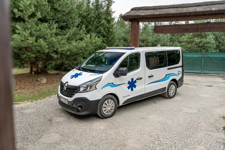 Renault Trafic Les Dauphins / Karetka / Pojazd Sanitarny / Nowy Silnik / Po Serwisie zdjęcie 27
