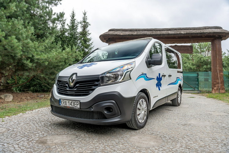 Renault Trafic Les Dauphins / Karetka / Pojazd Sanitarny / Nowy Silnik / Po Serwisie zdjęcie 33