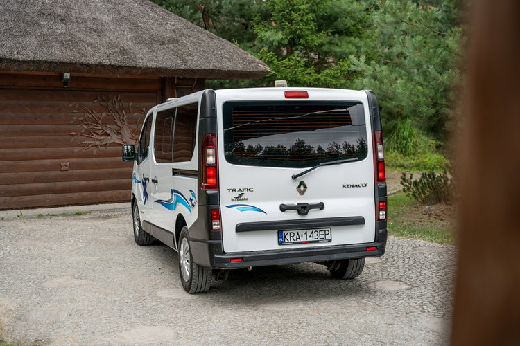 Renault Trafic Les Dauphins / Karetka / Pojazd Sanitarny / Nowy Silnik / Po Serwisie zdjęcie 36