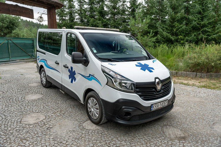 Renault Trafic Les Dauphins / Karetka / Pojazd Sanitarny / Nowy Silnik / Po Serwisie zdjęcie 37