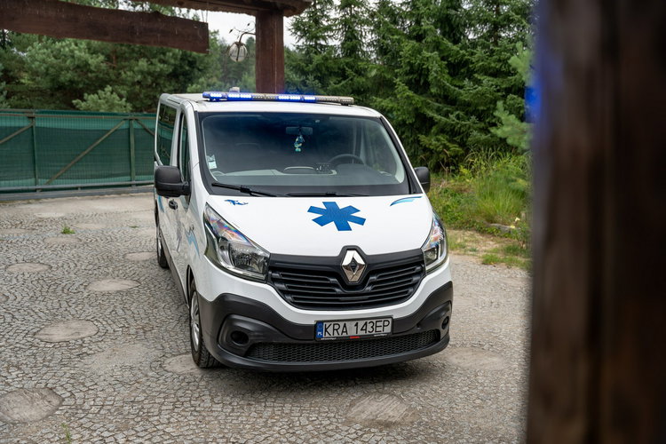Renault Trafic Les Dauphins / Karetka / Pojazd Sanitarny / Nowy Silnik / Po Serwisie zdjęcie 39
