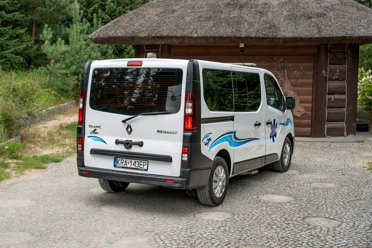 Renault Trafic Les Dauphins / Karetka / Pojazd Sanitarny / Nowy Silnik / Po Serwisie zdjęcie 4