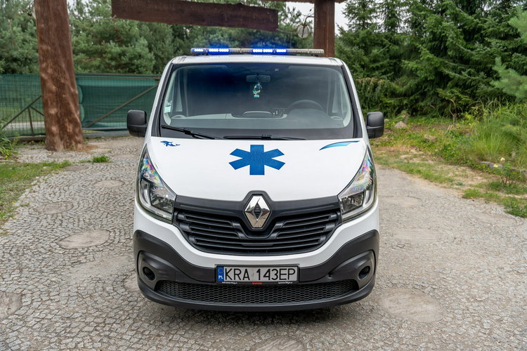 Renault Trafic Les Dauphins / Karetka / Pojazd Sanitarny / Nowy Silnik / Po Serwisie zdjęcie 5