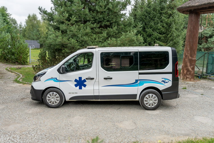 Renault Trafic Les Dauphins / Karetka / Pojazd Sanitarny / Nowy Silnik / Po Serwisie zdjęcie 7