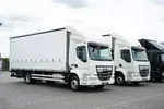 DAF LF / 260 / E 6 / ACC / BURTOFIRANKA + WINDA / ŁAD. 8 975 KG / 18 PALET zdjęcie 1