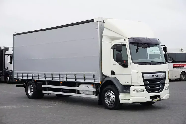 DAF / LF / 290 / E 6 / FIRANKA + WINDA / ŁAD. 9 970 KG / 19 PALET zdjęcie 1