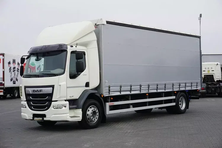 DAF / LF / 290 / E 6 / FIRANKA + WINDA / ŁAD. 9 970 KG / 19 PALET zdjęcie 12