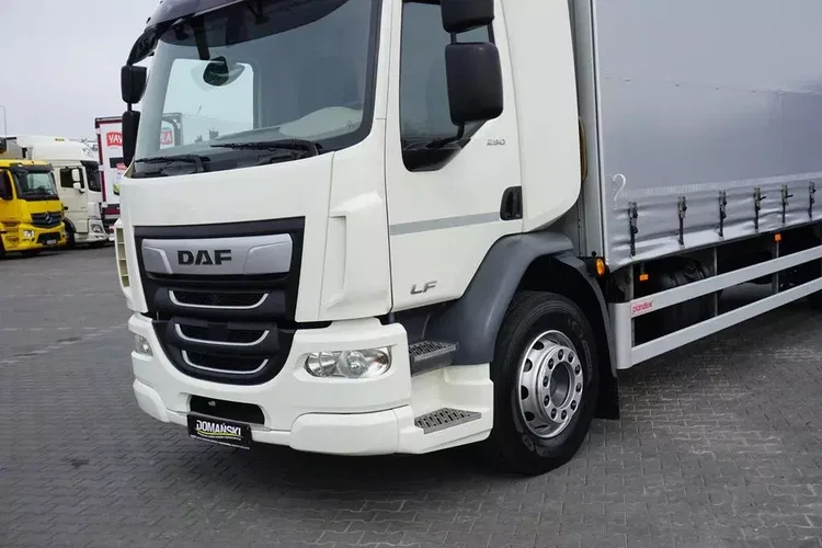 DAF / LF / 290 / E 6 / FIRANKA + WINDA / ŁAD. 9 970 KG / 19 PALET zdjęcie 16