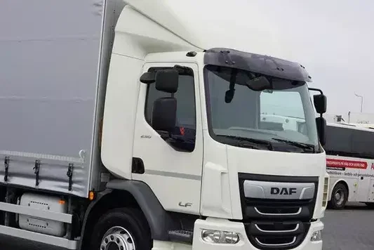 DAF / LF / 290 / E 6 / FIRANKA + WINDA / ŁAD. 9 970 KG / 19 PALET zdjęcie 20