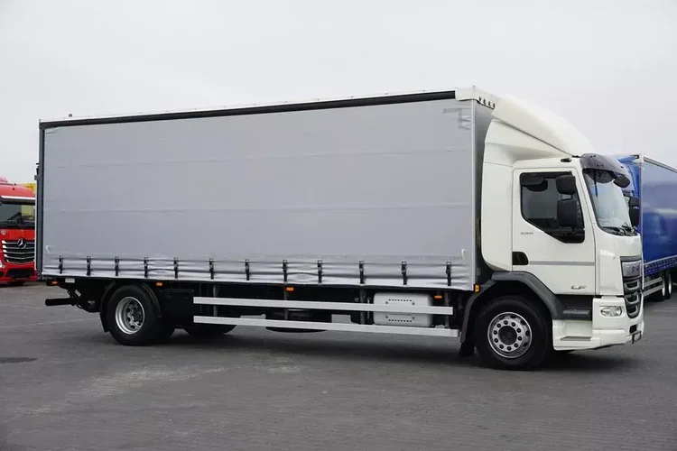 DAF / LF / 290 / E 6 / FIRANKA + WINDA / ŁAD. 9 970 KG / 19 PALET zdjęcie 34