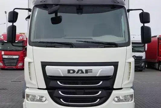 DAF / LF / 290 / E 6 / FIRANKA + WINDA / ŁAD. 9 970 KG / 19 PALET zdjęcie 6
