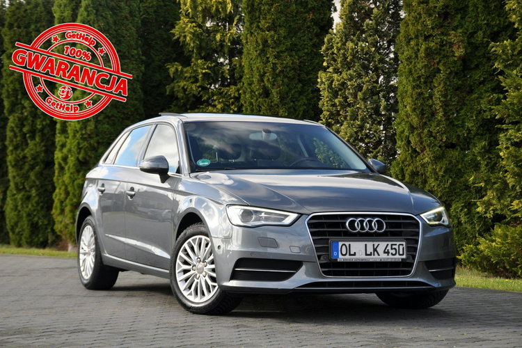 Audi A3 1.4T(122KM) Navi MMI Bi-Xenon Led Panorama Skóry Chrom I Wł Alu16"ASO zdjęcie 1