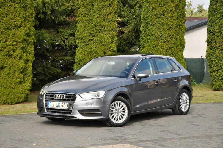 Audi A3 1.4T(122KM) Navi MMI Bi-Xenon Led Panorama Skóry Chrom I Wł Alu16"ASO zdjęcie 10