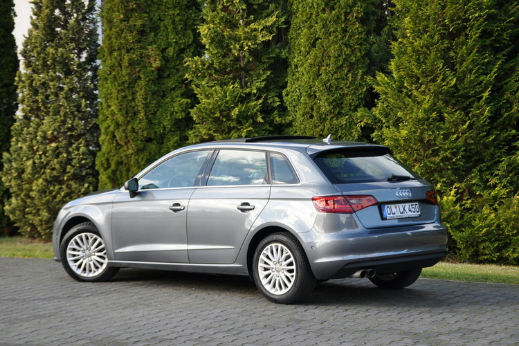 Audi A3 1.4T(122KM) Navi MMI Bi-Xenon Led Panorama Skóry Chrom I Wł Alu16"ASO zdjęcie 13