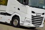 DAF XG 530 / ZF INTARDER / FULL LED / TRĄBY /KLIMA POST. / ALUFELGI zdjęcie 3